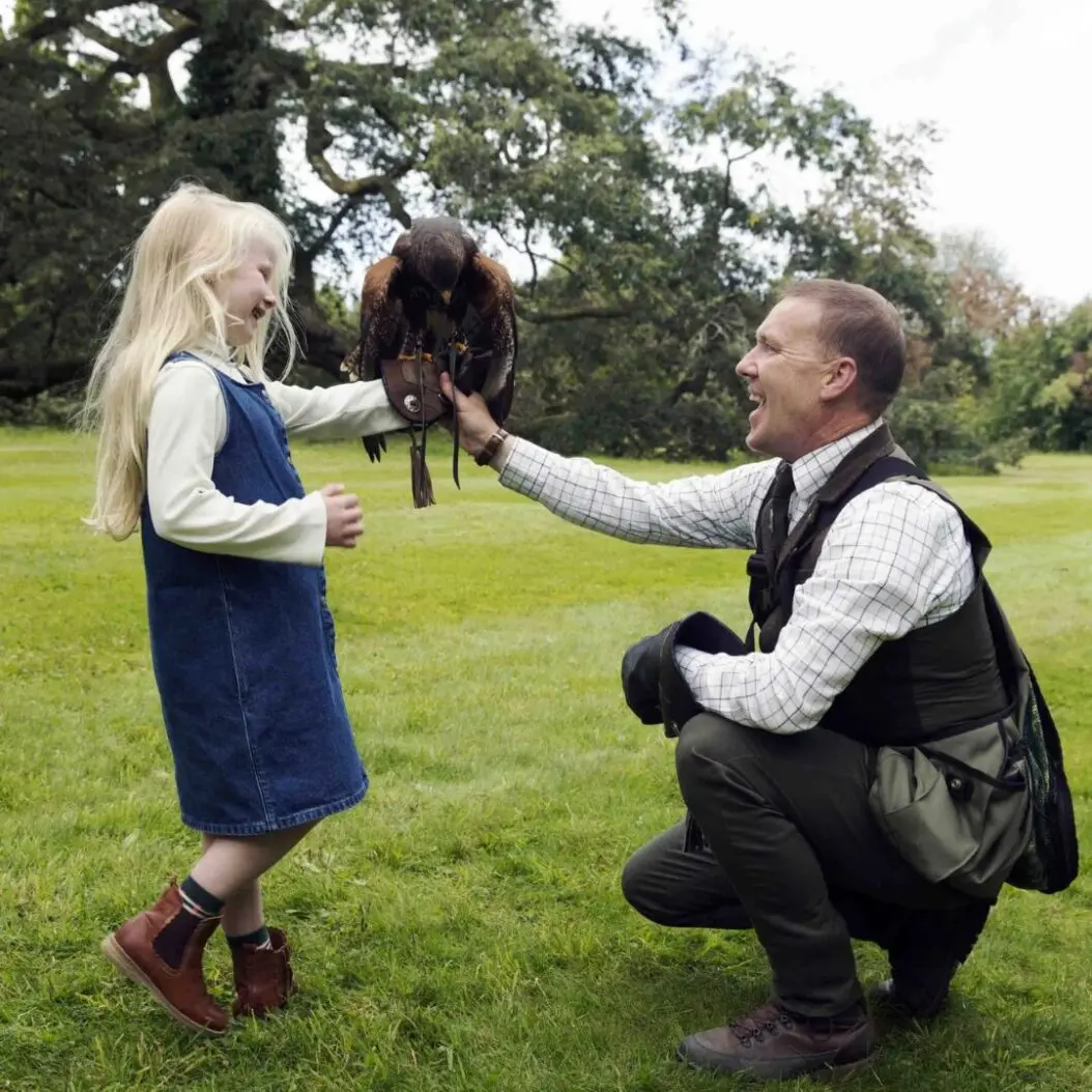 Hawkeye Falconry