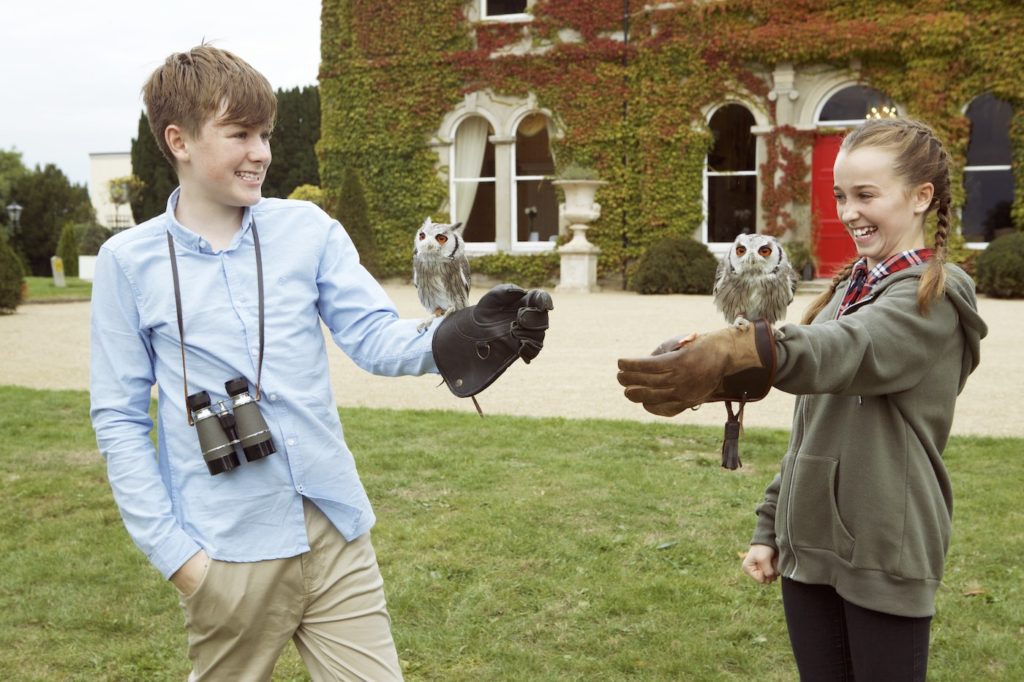 Hawkeye Falconry Experience