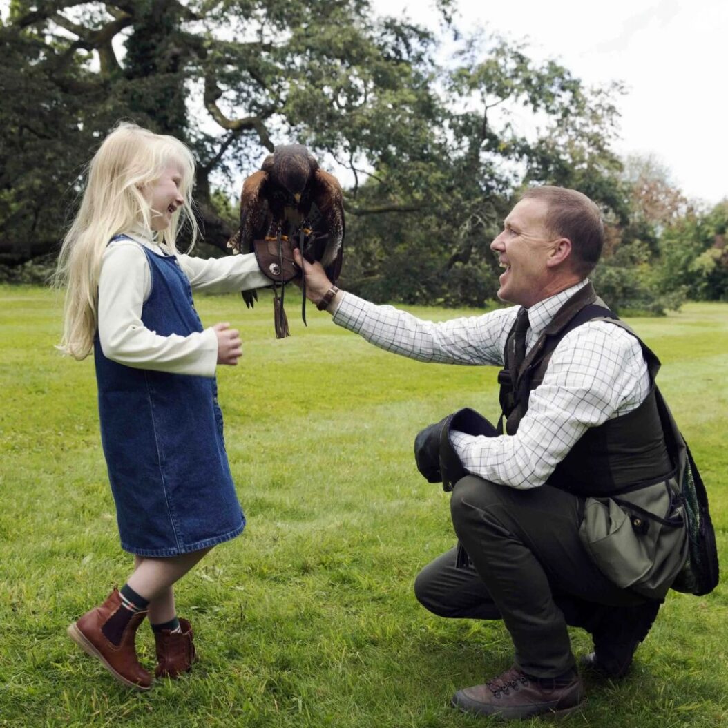 Hawkeye Falconry