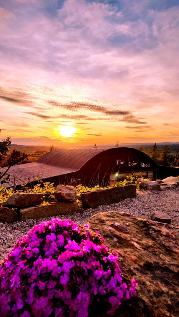 Cow Shed At Mountain View