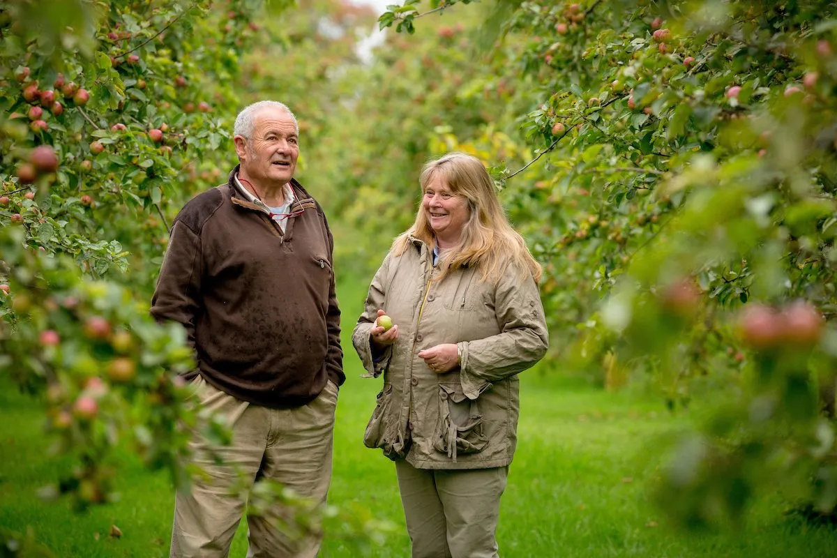 High Bank Orchard Savour Kilkenny 1