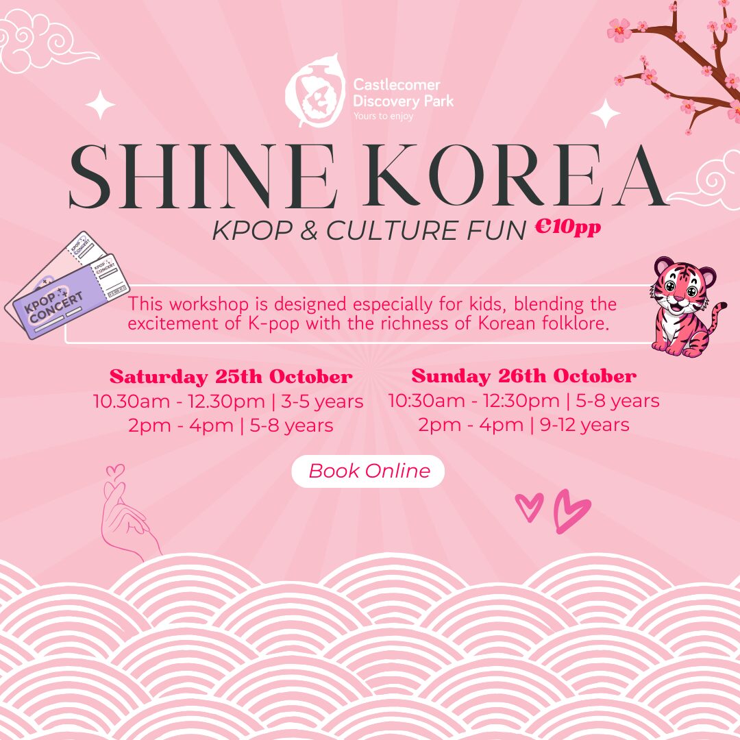 Shine Korea Sme